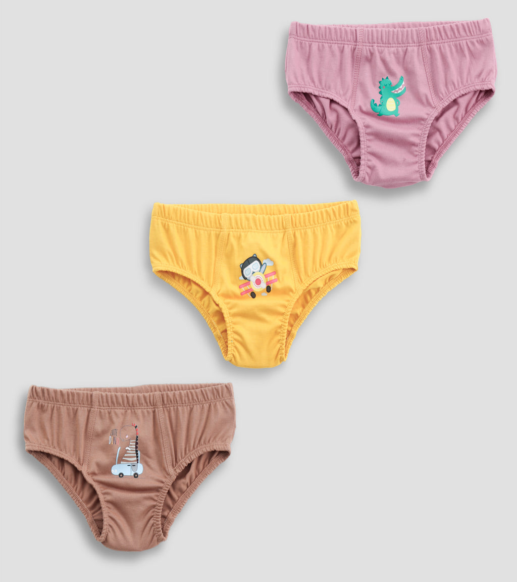 Little Explorer's Essential Cotton Briefs Multipack