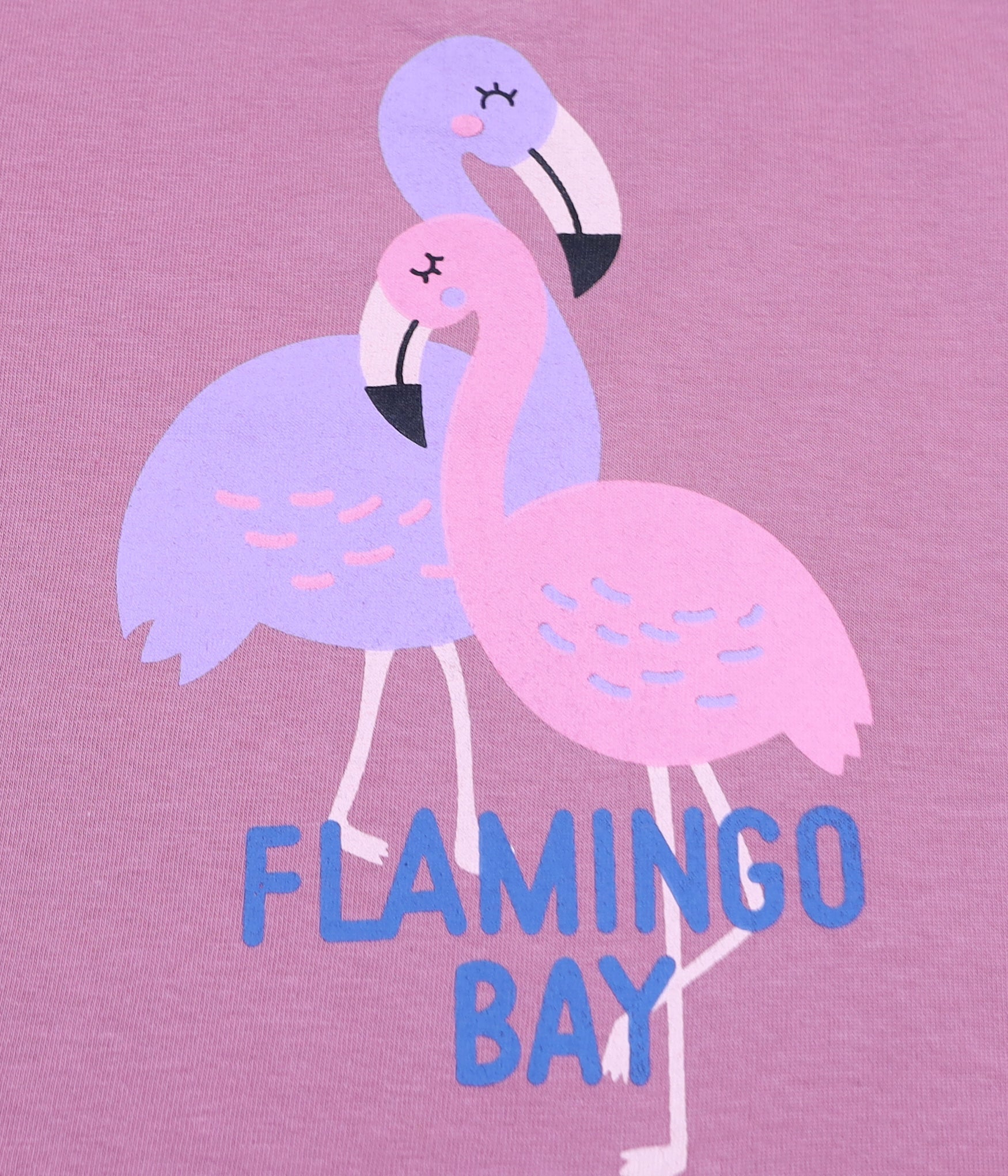 Pretty in Pink & Teal: Adorable Flamingo Graphic Tee & Shorts Duo