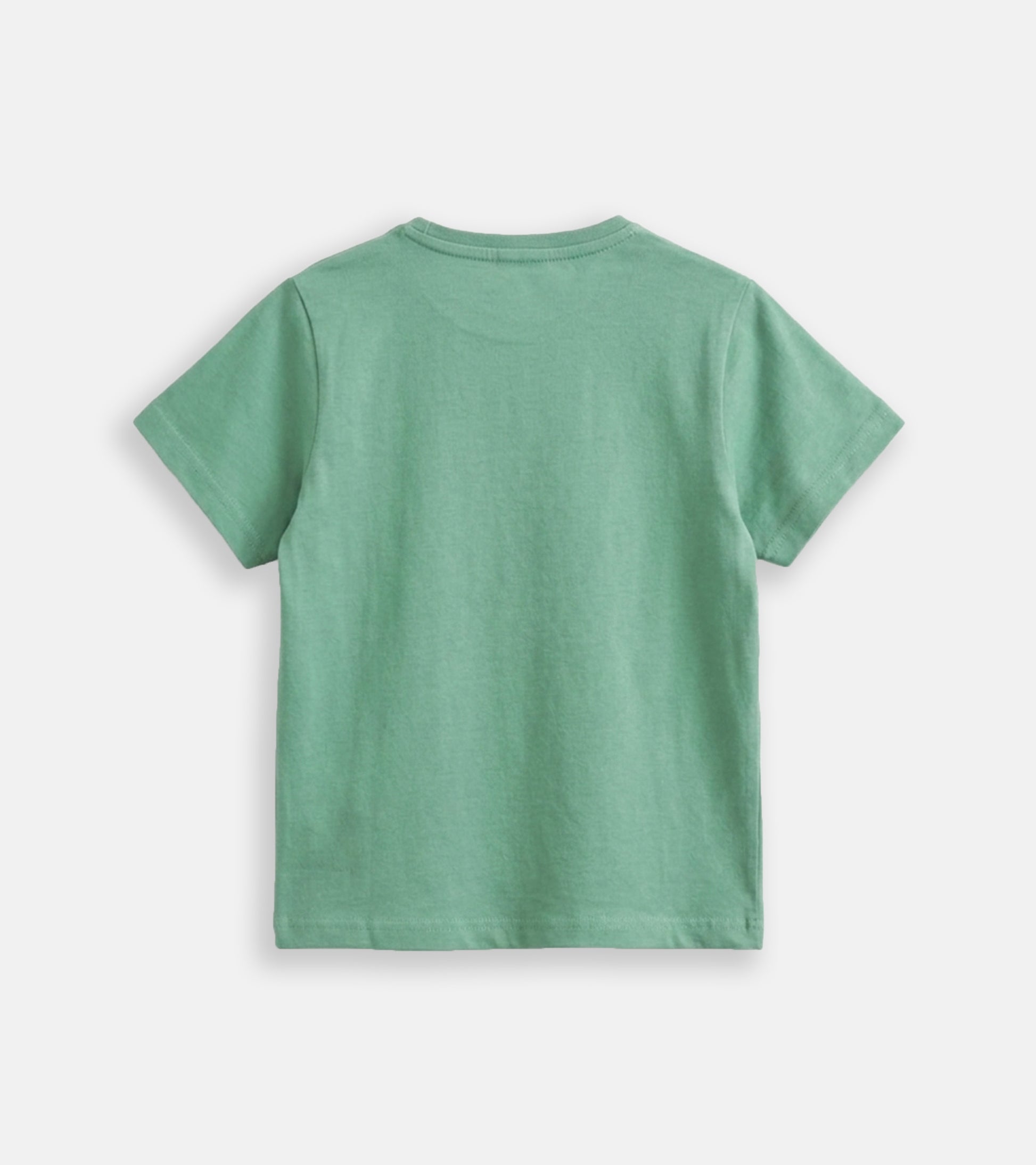 Stay Wild Panda – Sage Green Soft & Breathable Graphic Tee