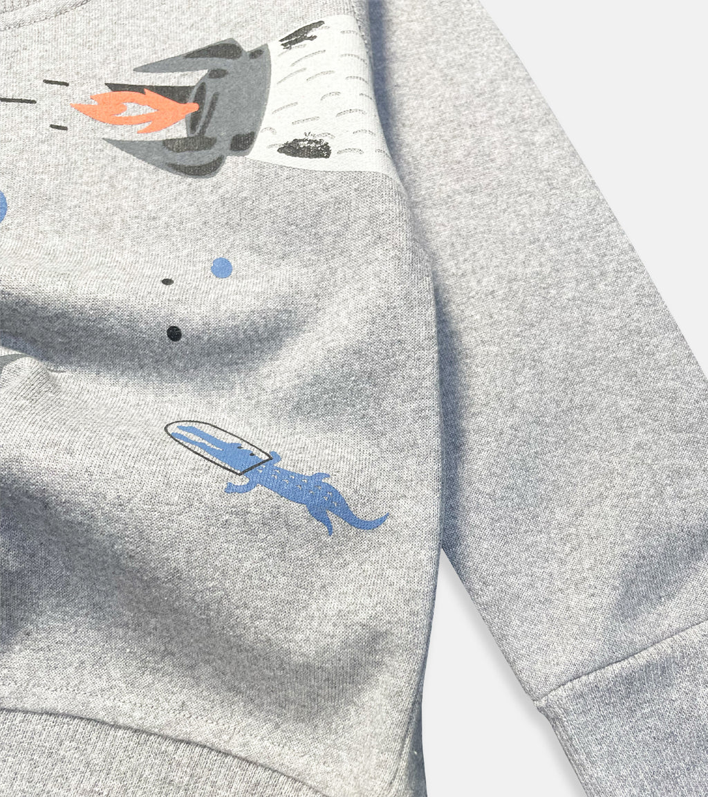 Space Croc & T-rox sweatshirts combo