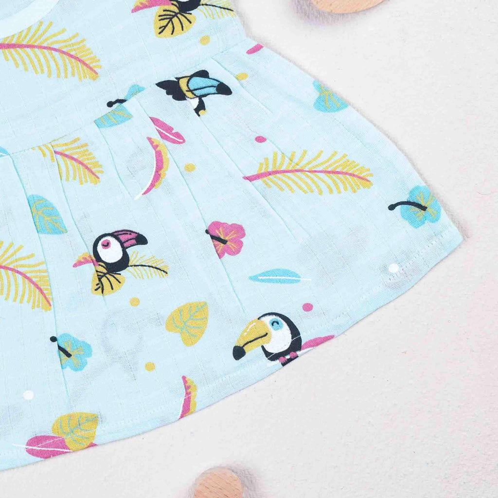 Toucan Tales