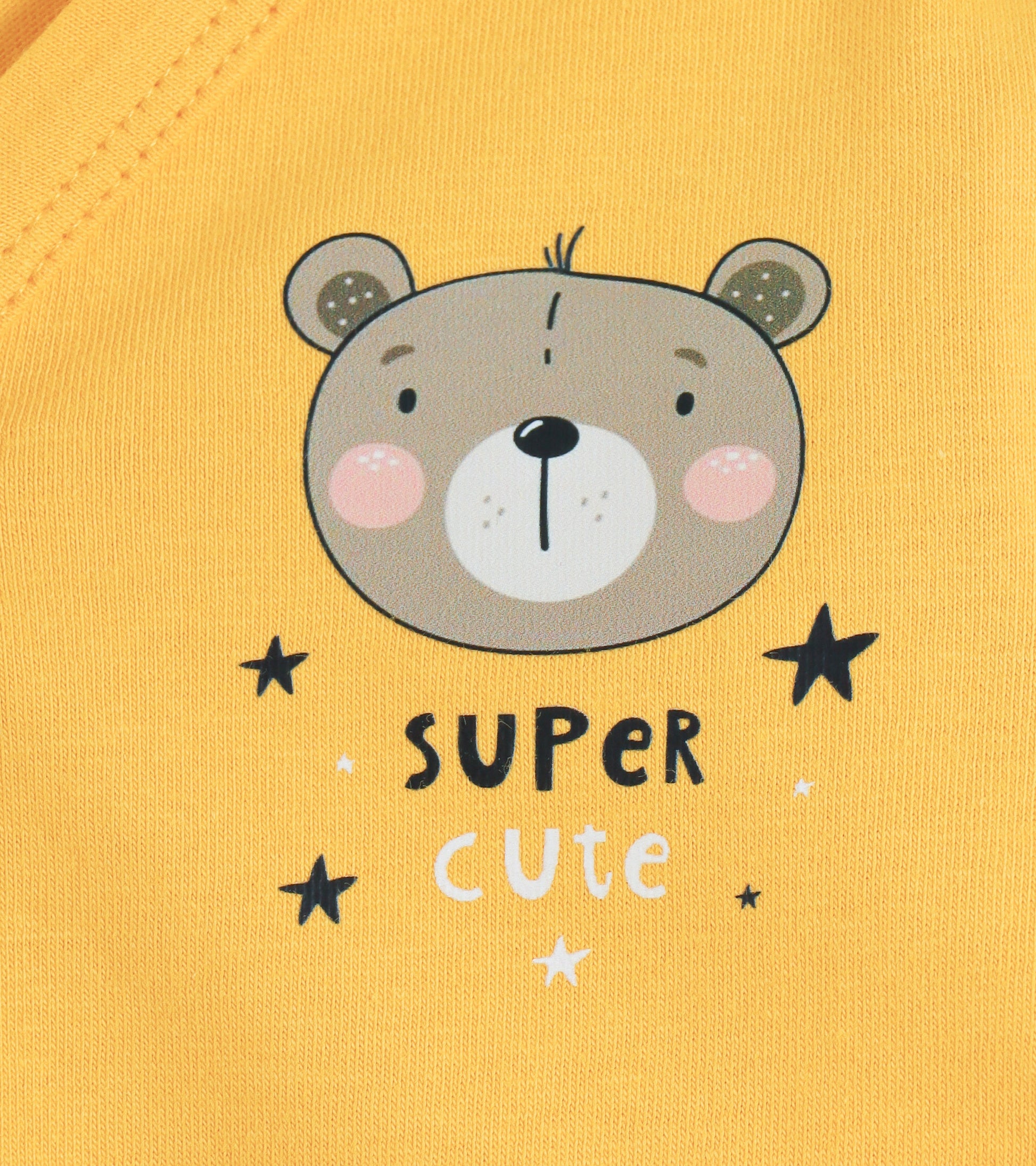 Super Cute Teddy