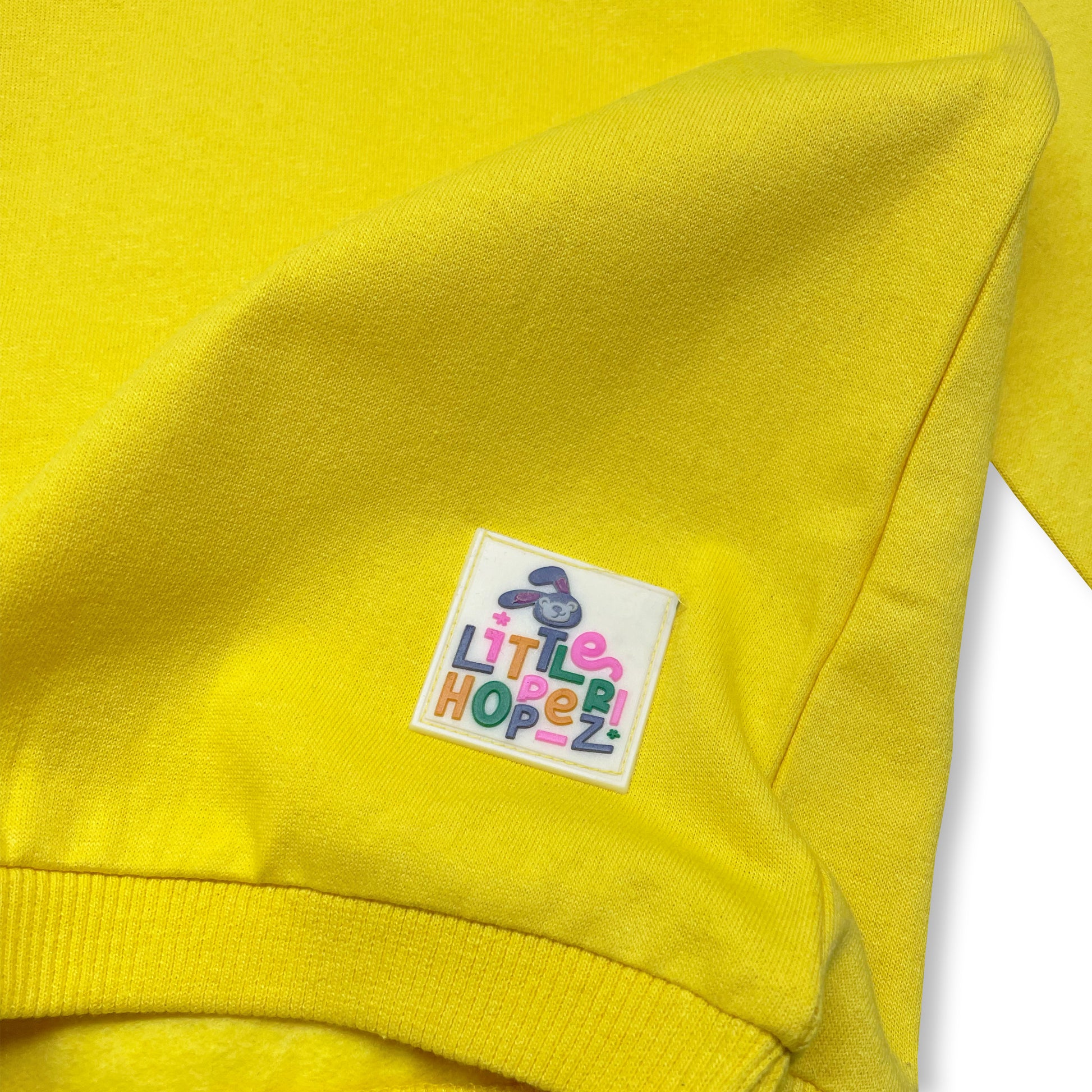 Roarsome Lion with Golden Yellow Hoodies - Pack of 2