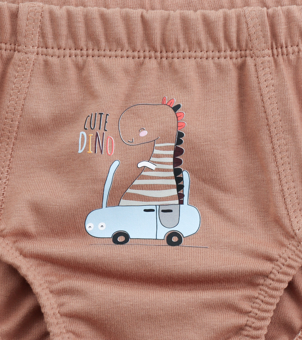 Little Explorer's Essential Cotton Briefs Multipack