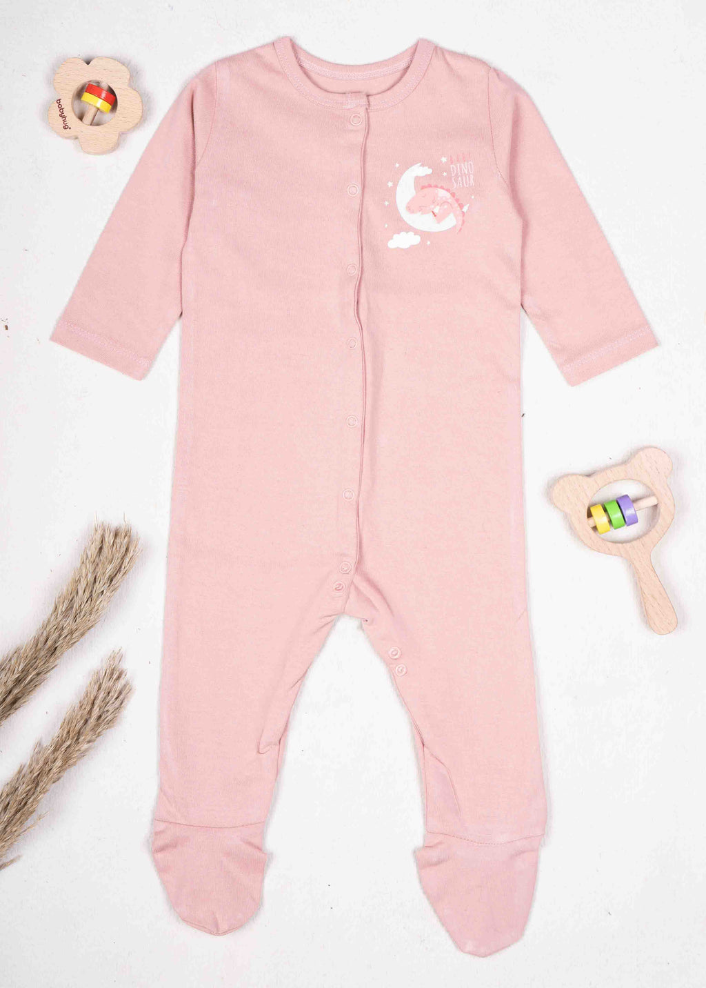 Baby Dinosaur