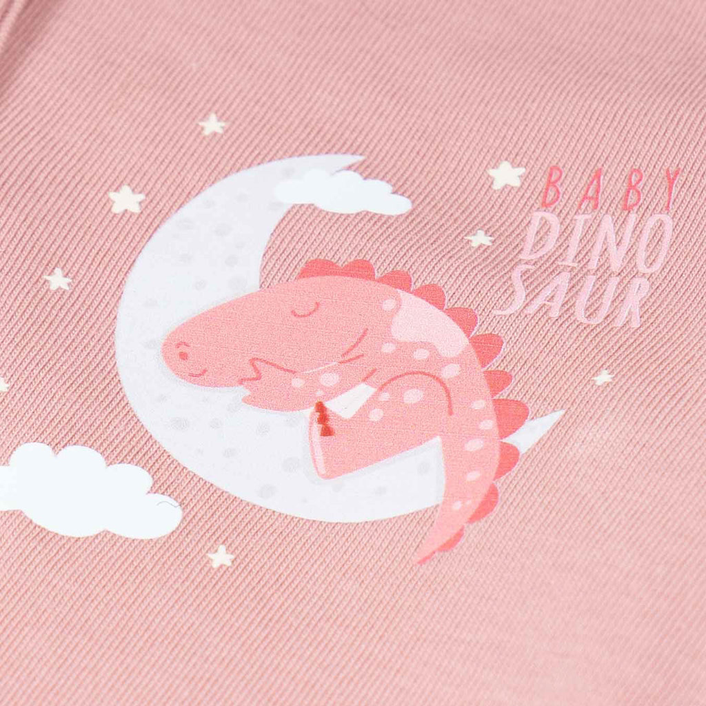 Baby Dinosaur