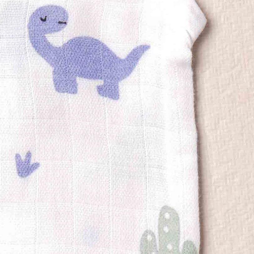 Dino Prints(1)