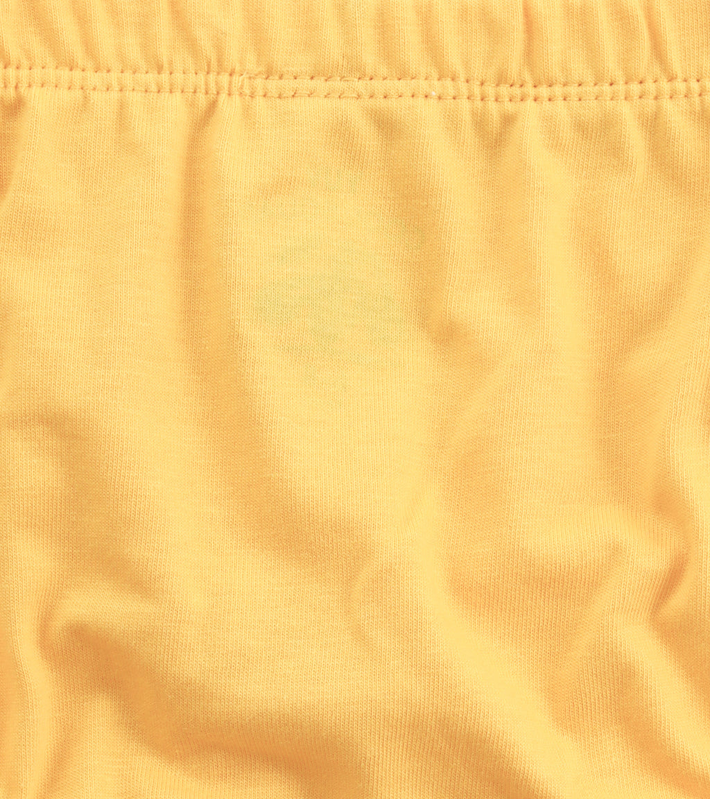 Everyday Explorers: Boys' Colorful Graphic Cotton Briefs Bundle